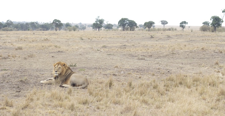 Into the Kenyan Wilderness